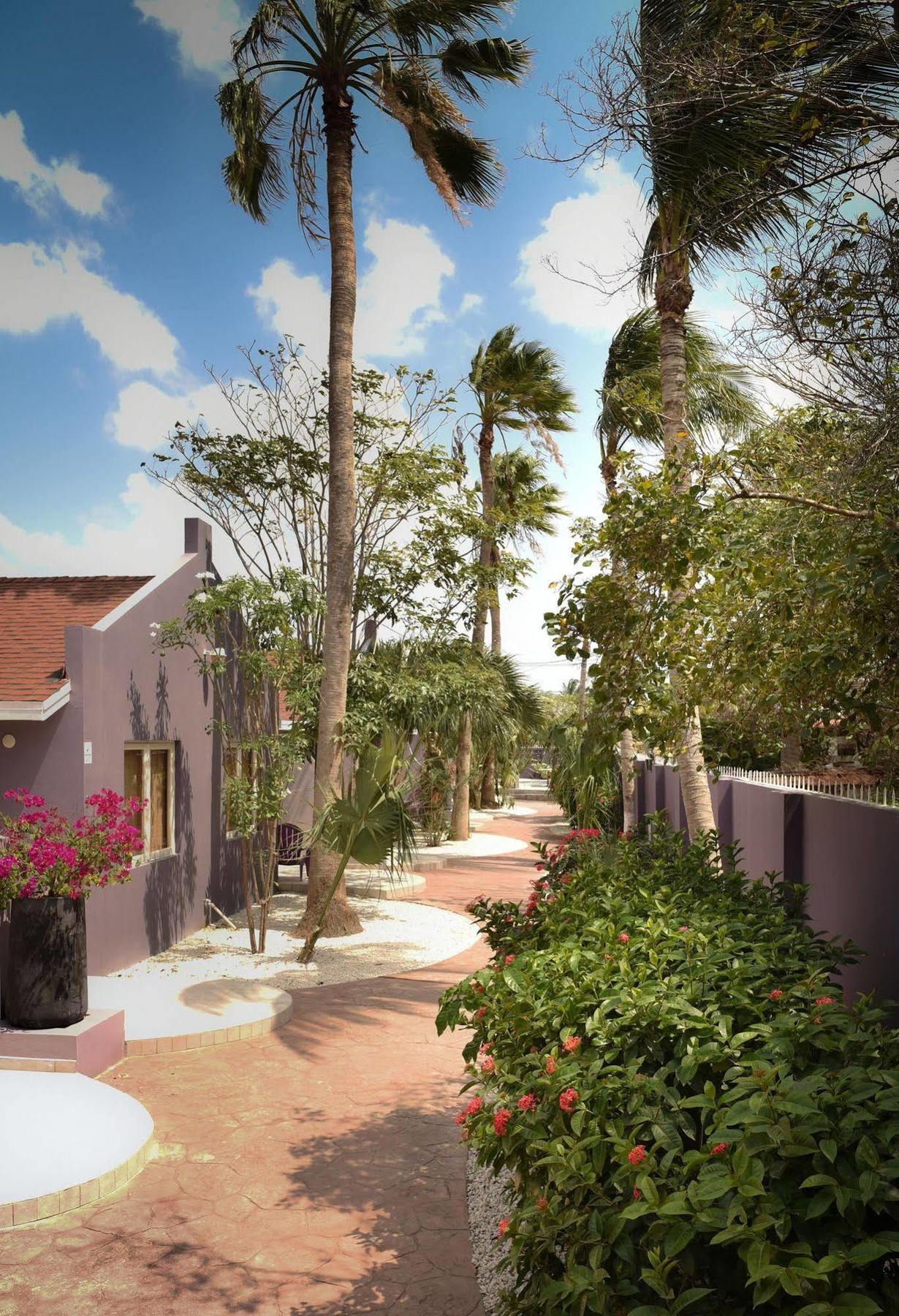 Cadushi Apartments Oranjestad Dış mekan fotoğraf