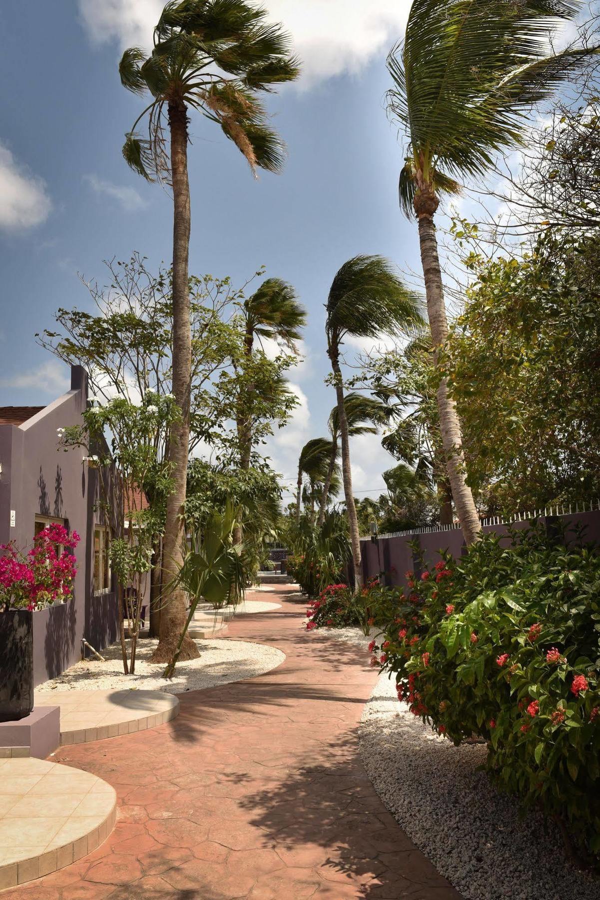 Cadushi Apartments Oranjestad Dış mekan fotoğraf