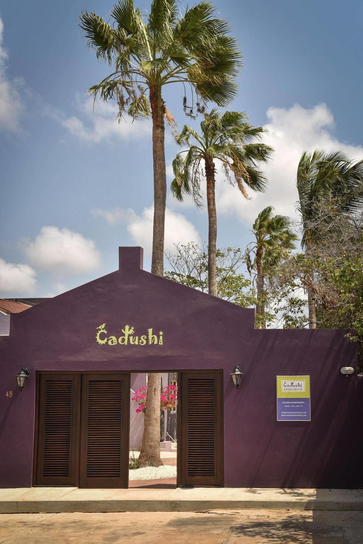 Cadushi Apartments Oranjestad Dış mekan fotoğraf