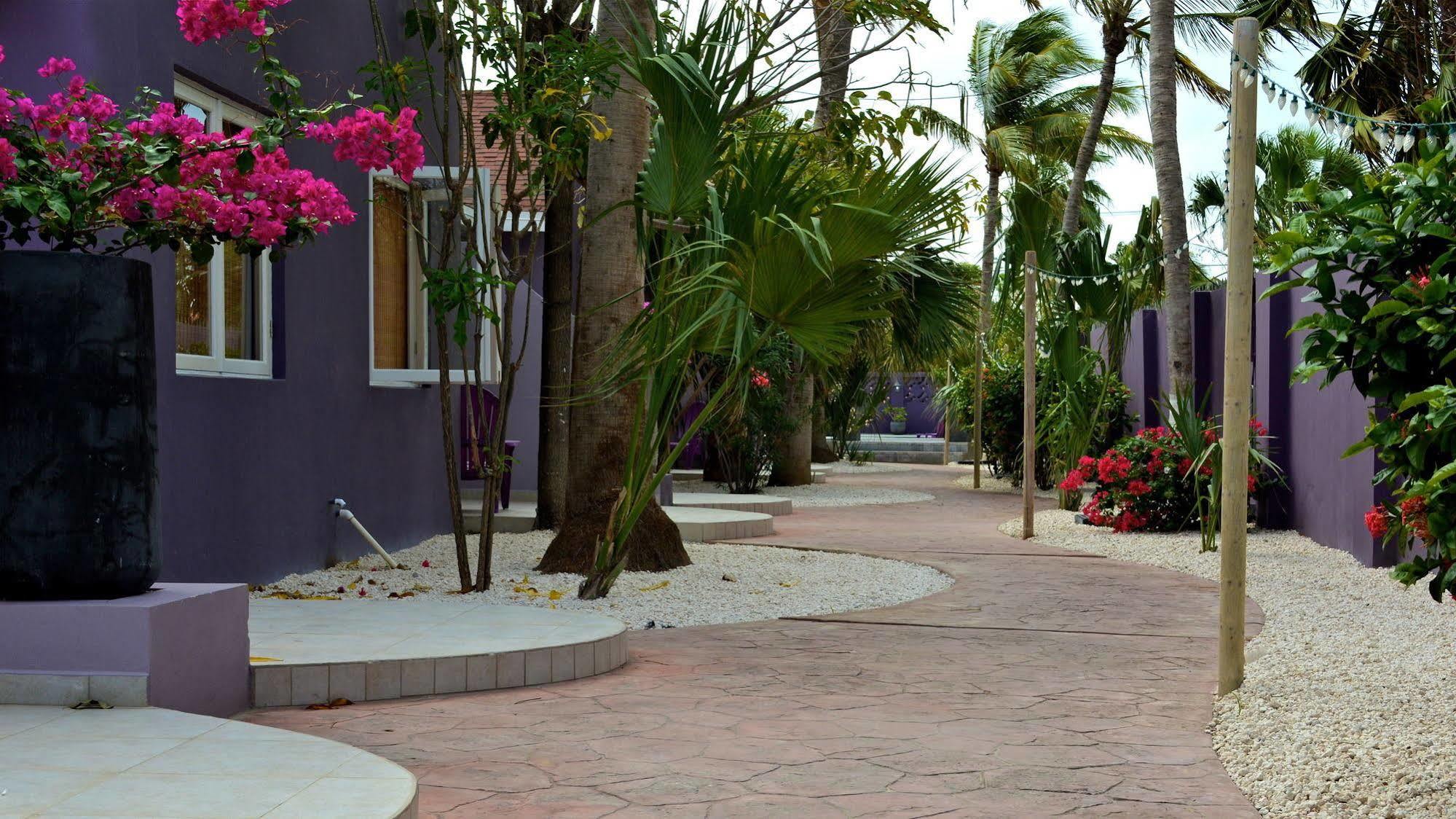 Cadushi Apartments Oranjestad Dış mekan fotoğraf